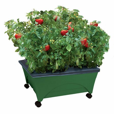 CITY PICKERS Raised Bed Grow Box, Self Watering and Improved Aeration, Mobile Unit with Casters, Hunter Green 2341-1HD